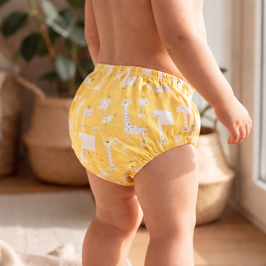 Culottes d'apprentissage de la propreté